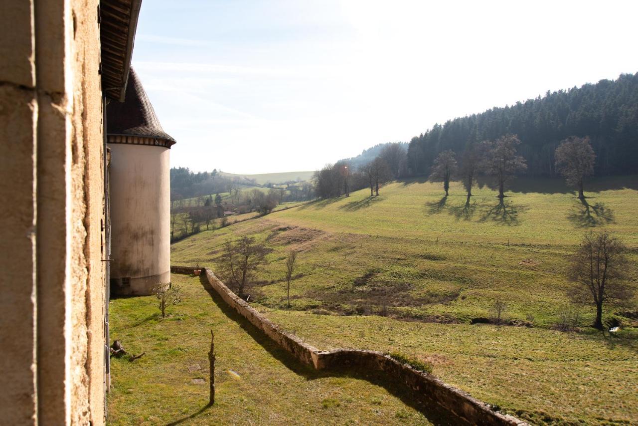 Chateau De Pramenoux Lamure-sur-Azergues Esterno foto