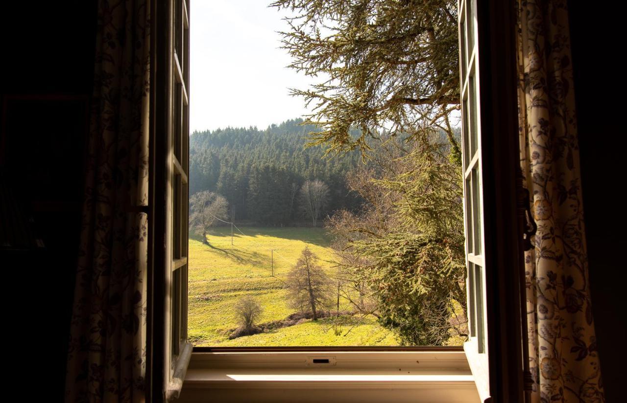 Chateau De Pramenoux Lamure-sur-Azergues Esterno foto